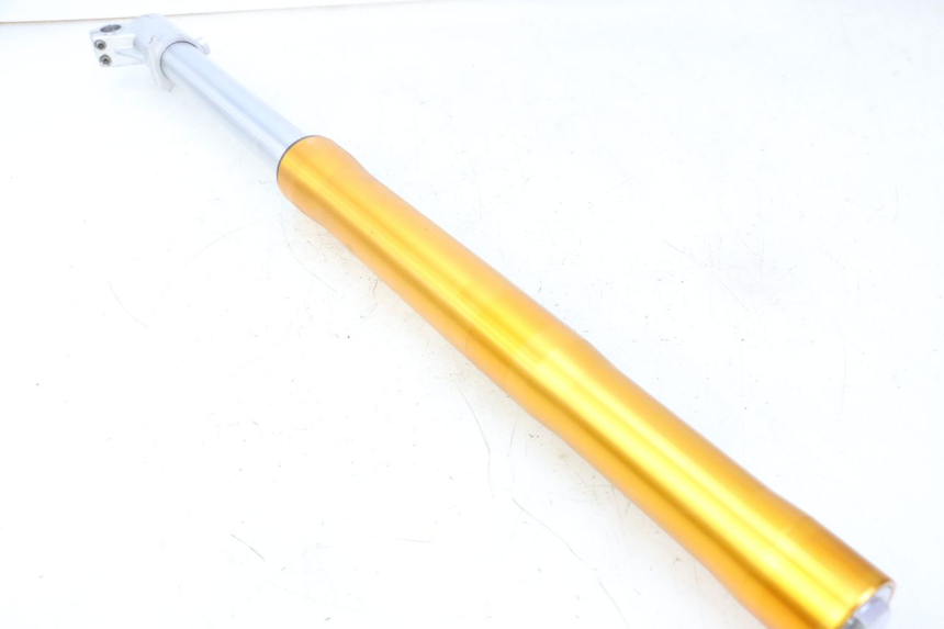 photo de FOURREAU FOURCHE DROIT RIEJU MRT 50 (2018 - 2021)