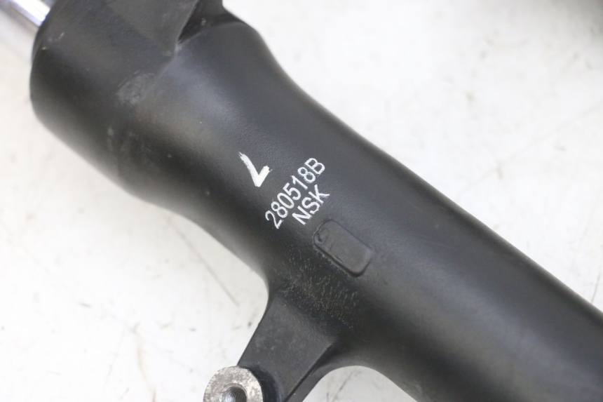 photo de FOURREAU FOURCHE PIAGGIO NEW TYPHOON 50 (2018 - 2021) - Vue d’ensemble