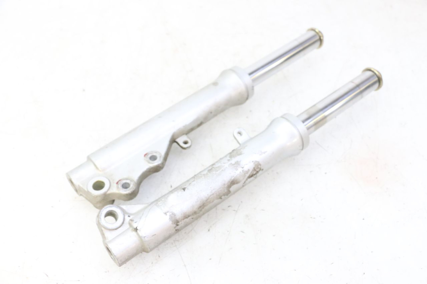 photo de FOURREAU FOURCHE PGO RODOSHOW 2T 50 (2003 - 2007)