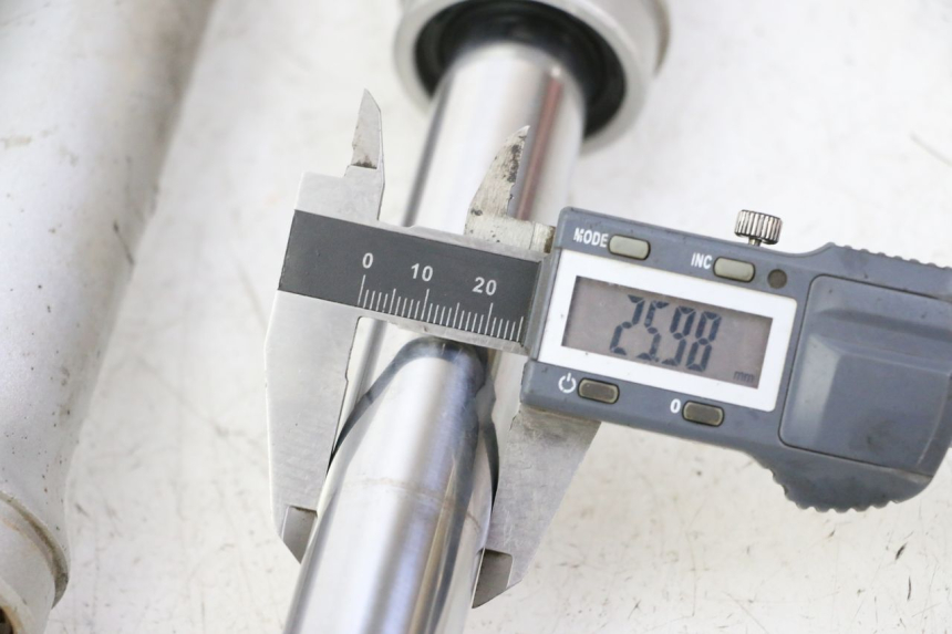 photo de FOURREAU FOURCHE PGO RODOSHOW 2T 50 (2003 - 2007)