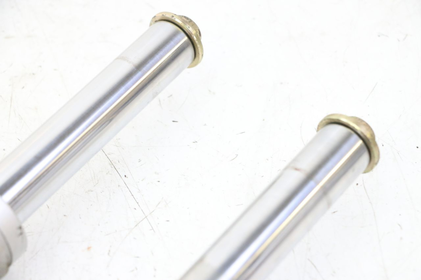 photo de FOURREAU FOURCHE PGO RODOSHOW 2T 50 (2003 - 2007)