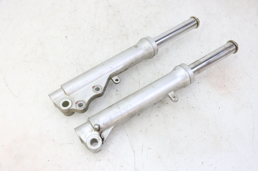 photo de FOURREAU FOURCHE PGO RODOSHOW 2T 50 (2003 - 2007)