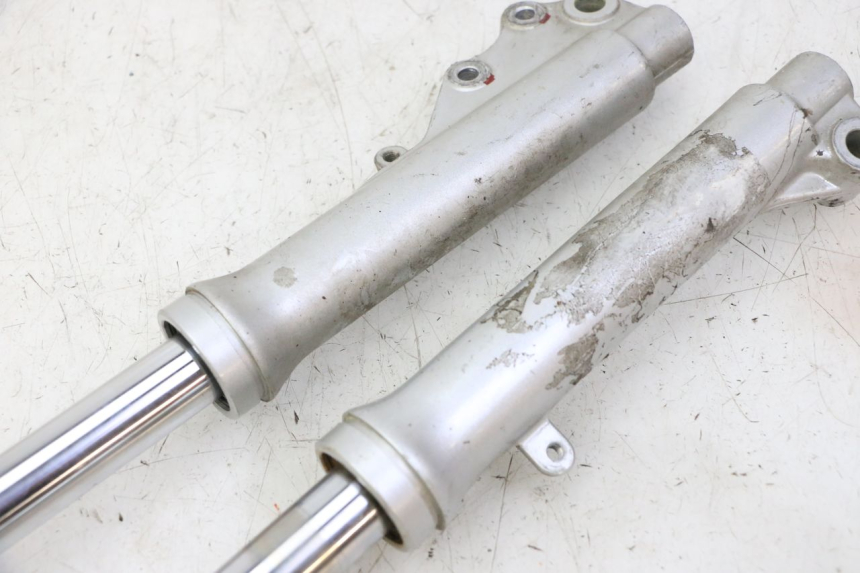 photo de FOURREAU FOURCHE PGO RODOSHOW 2T 50 (2003 - 2007)