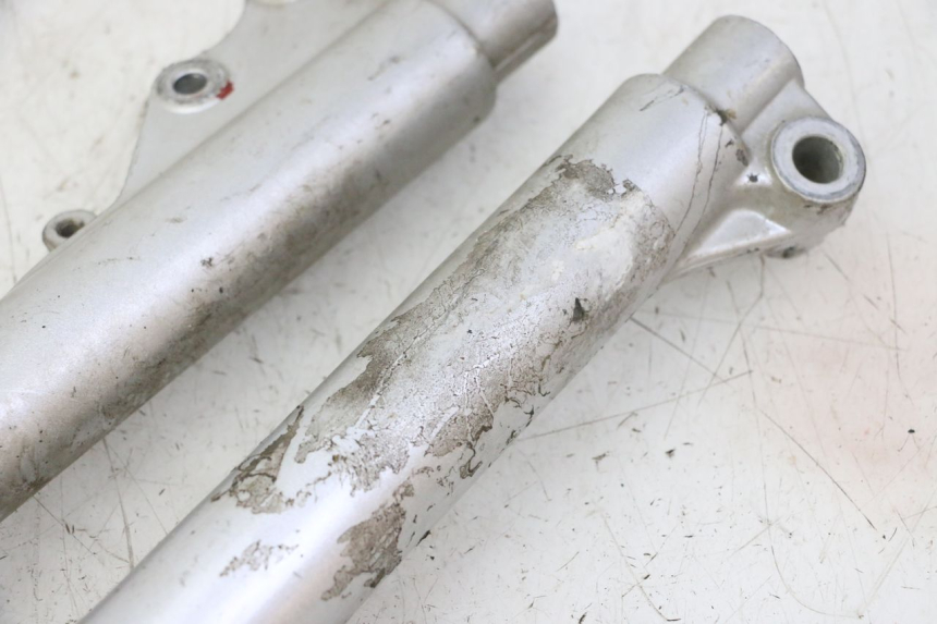 photo de FOURREAU FOURCHE PGO RODOSHOW 2T 50 (2003 - 2007)