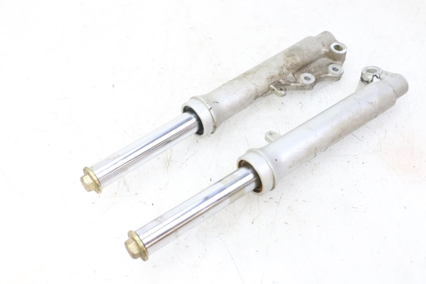 photo de FOURREAU FOURCHE PGO RODOSHOW 2T 50 (2003 - 2007)