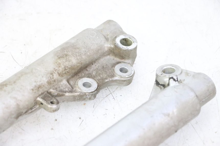 photo de FOURREAU FOURCHE PGO RODOSHOW 2T 50 (2003 - 2007)