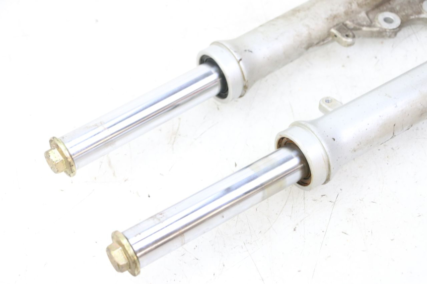 photo de FOURREAU FOURCHE PGO RODOSHOW 2T 50 (2003 - 2007)