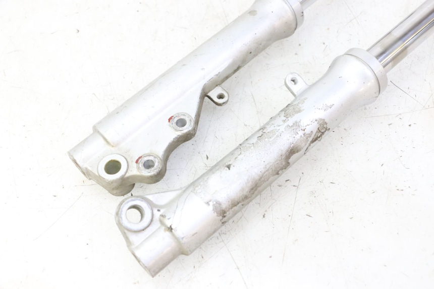 photo de FOURREAU FOURCHE PGO RODOSHOW 2T 50 (2003 - 2007)