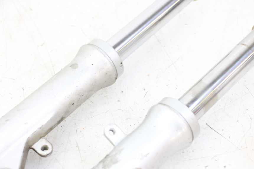 photo de FOURREAU FOURCHE PGO RODOSHOW 2T 50 (2003 - 2007)