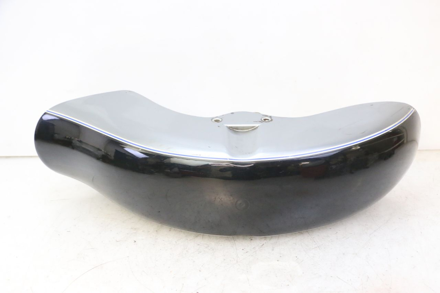 photo de Front fender HYOSUNG GV AQUILA 125 (2000 - 2004)