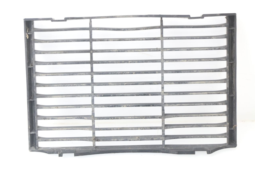 photo de GRILLE RADIATEUR HONDA CBF 500 (2004 - 2007)