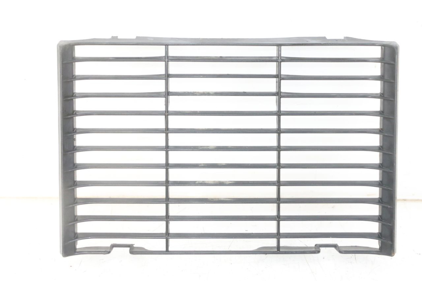 photo de GRILLE RADIATEUR HONDA CBF 500 (2004 - 2007)
