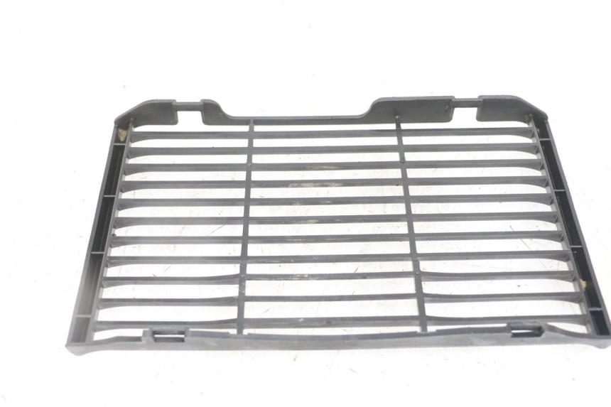 photo de GRILLE RADIATEUR HONDA CBF 500 (2004 - 2007)