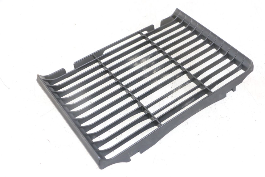 photo de GRILLE RADIATEUR HONDA CBF 500 (2004 - 2007)