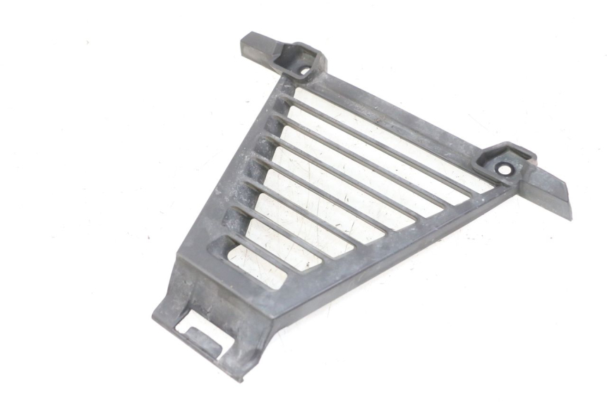 photo de GRILLE RADIATEUR BMW G310 R 310 (2016 - 2020)