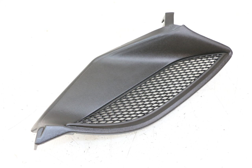 photo de GRILLE RADIATEUR GAUCHE PIAGGIO NRG POWER PUREJET 50 (2018 - 2021)