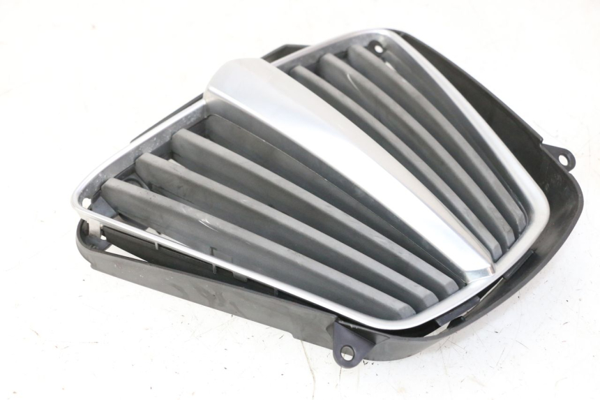 photo de GRILLE RADIATEUR PIAGGIO MP3 RL 250 (2007 - 2010)