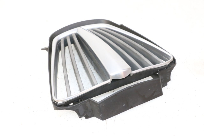 photo de GRILLE RADIATEUR PIAGGIO MP3 RL 250 (2007 - 2010)