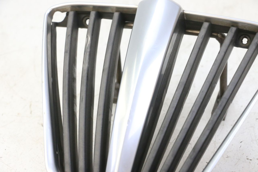 photo de GRILLE RADIATEUR PIAGGIO MP3 RL 250 (2007 - 2010)