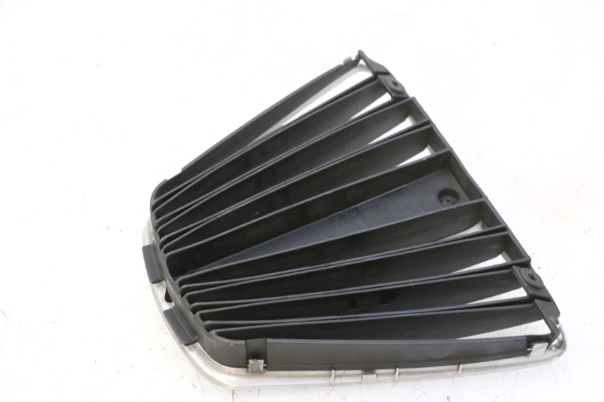 photo de GRILLE RADIATEUR PIAGGIO MP3 RL 250 (2007 - 2010)