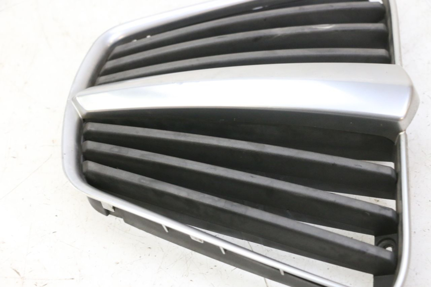 photo de GRILLE RADIATEUR PIAGGIO MP3 RL 250 (2007 - 2010)