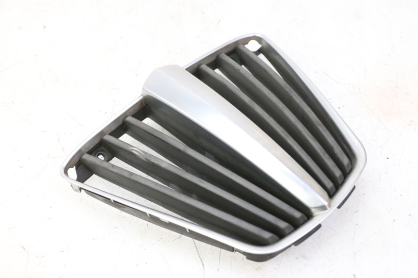 photo de GRILLE RADIATEUR PIAGGIO MP3 RL 250 (2007 - 2010)