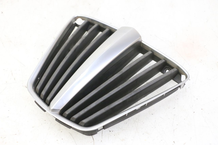 photo de GRILLE RADIATEUR PIAGGIO MP3 RL 250 (2007 - 2010)