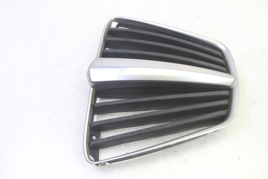 photo de GRILLE RADIATEUR PIAGGIO MP3 RL 250 (2007 - 2010) - Détail de la pièce