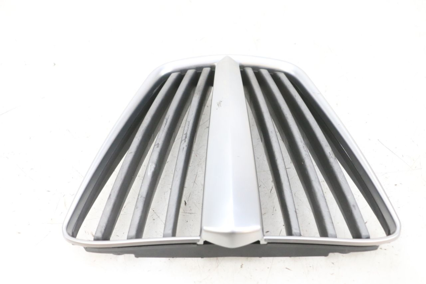 photo de GRILLE RADIATEUR PIAGGIO MP3 RL 250 (2007 - 2010) - Autre angle de vue