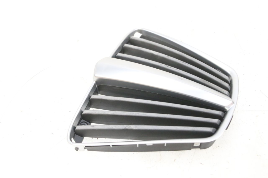photo de GRILLE RADIATEUR PIAGGIO MP3 RL 250 (2007 - 2010) - Gros plan technique