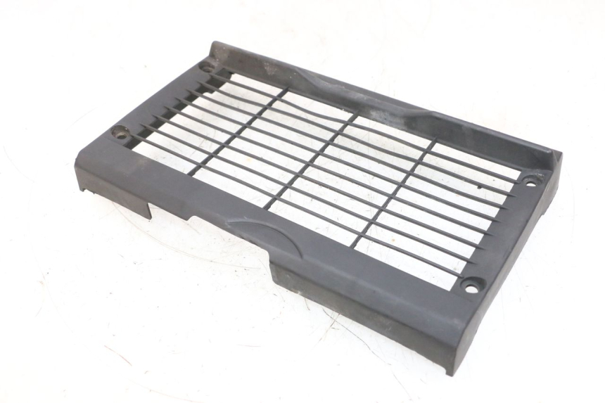 photo de GRILLE RADIATEUR HONDA NSR R 125 (1994 - 2003) - Vue d’ensemble