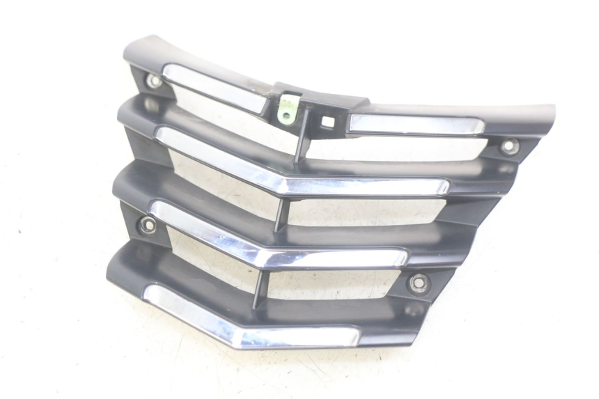 photo de GRILLE RADIATEUR PEUGEOT CITYSTAR 125 (2011 - 2017)