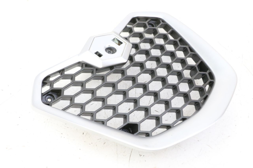 photo de GRILLE RADIATEUR PIAGGIO MP3 500 (2014 - 2016)