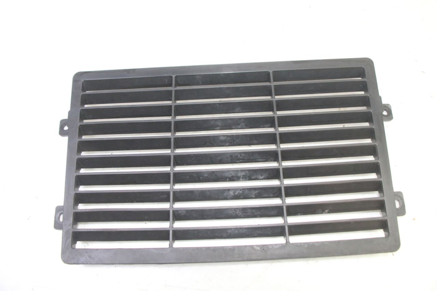 photo de GRILLE RADIATEUR MAG POWER R-STREET 50 (2016 - 2025)