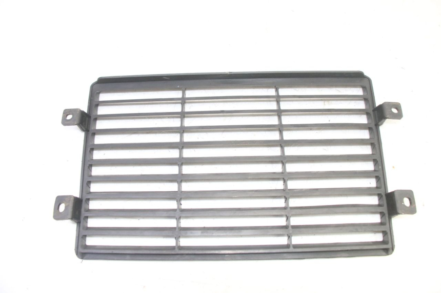 photo de GRILLE RADIATEUR MAG POWER R-STREET 50 (2016 - 2025)