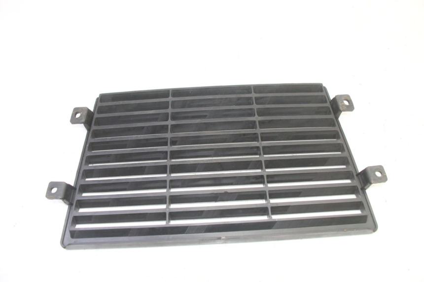 photo de GRILLE RADIATEUR MAG POWER R-STREET 50 (2016 - 2025)