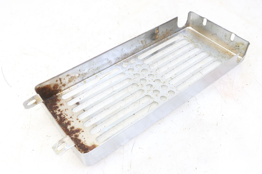 photo de GRILLE RADIATEUR REGAL RAPTOR RAXTER 2 125 (2007 - 2015)