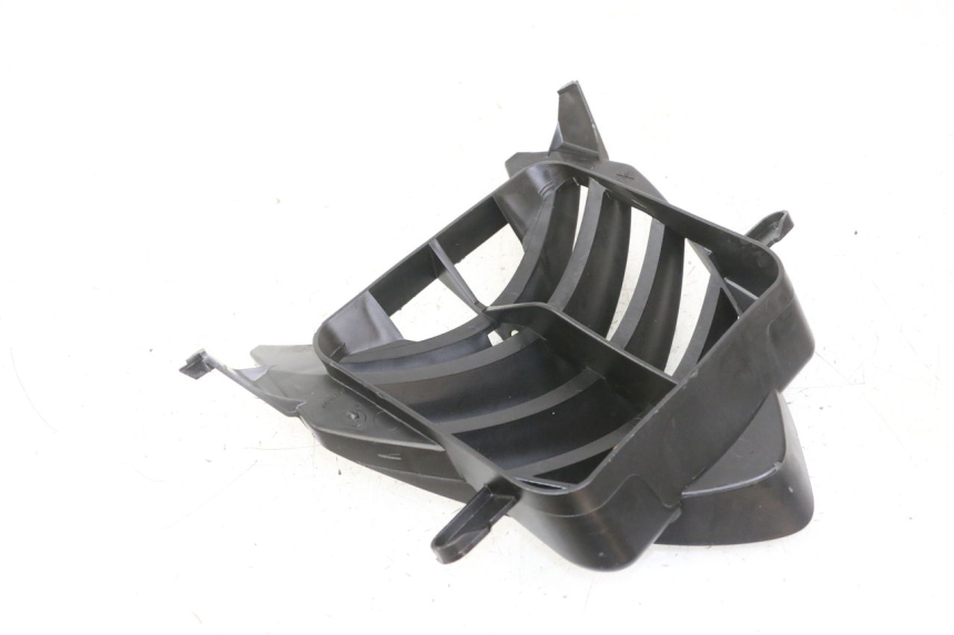 photo de GRILLE RADIATEUR PEUGEOT SPEEDFIGHT 2 LC 50 (2000 - 2009)
