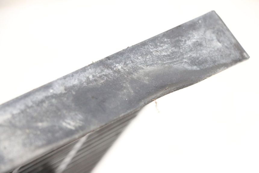 photo de GRILLE RADIATEUR TRIUMPH SPRINT 900 (1995 - 1998)