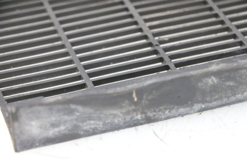 photo de GRILLE RADIATEUR TRIUMPH SPRINT 900 (1995 - 1998)