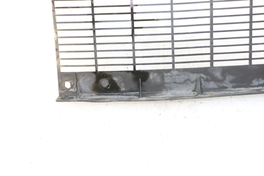 photo de GRILLE RADIATEUR TRIUMPH SPRINT 900 (1995 - 1998)