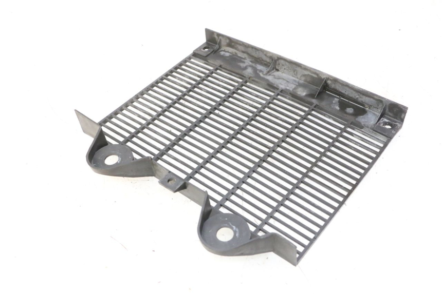 photo de GRILLE RADIATEUR TRIUMPH SPRINT 900 (1995 - 1998)