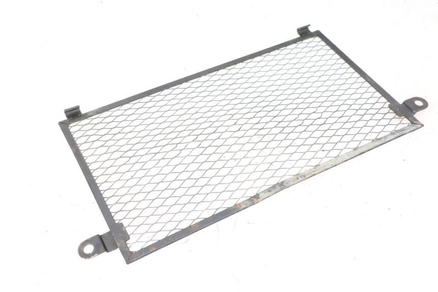 photo de GRILLE RADIATEUR YAMAHA TDM ABS 900 (2002 - 2014)