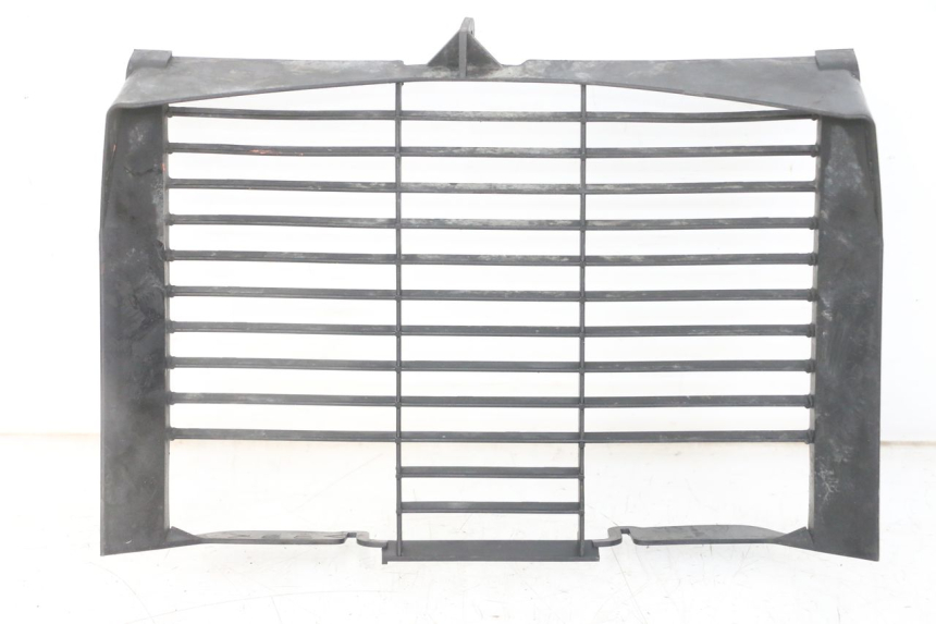 photo de GRILLE RADIATEUR YAMAHA XJ6 ABS 600 (2008 - 2016)