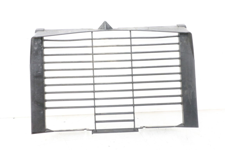 photo de GRILLE RADIATEUR YAMAHA XJ6 ABS 600 (2008 - 2016)