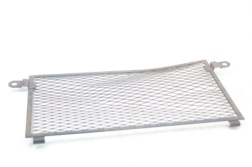 photo de GRILLE RADIATEUR YAMAHA TDM ABS 900 (2002 - 2014)