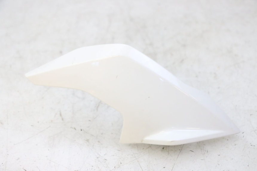 photo de INTERIEUR TETE FOURCHE DROIT BMW G310 R 310 (2016 - 2020)