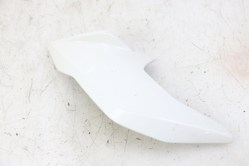 photo de INTERIEUR TETE FOURCHE DROIT BMW G310 R 310 (2016 - 2020)