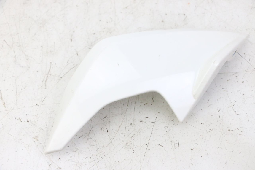 photo de INTERIEUR TETE FOURCHE DROIT BMW G310 R 310 (2016 - 2020)