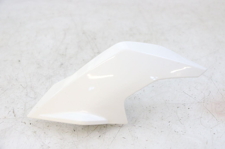 photo de INTERIEUR TETE FOURCHE GAUCHE BMW G310 R 310 (2016 - 2020)